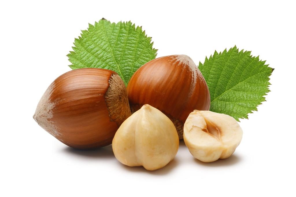 Aceite de Macadamia