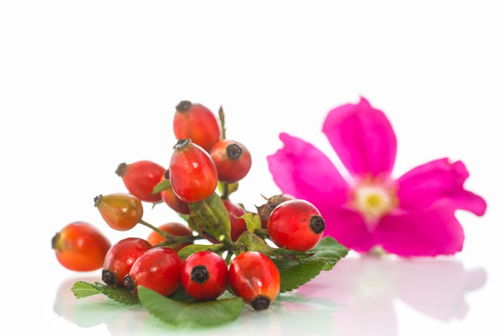 Aceite de Rosa Mosqueta