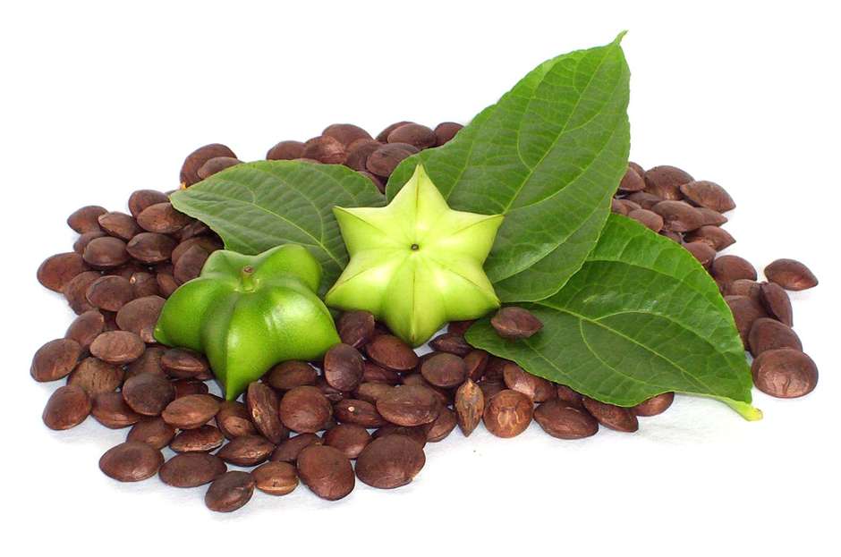 Aceite de Sacha Inchi