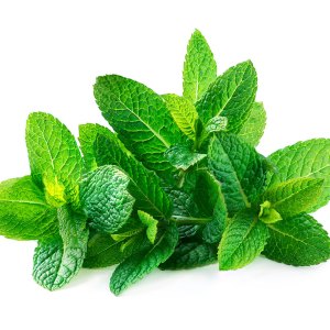 Hidrolato de Melisa y Toronjil